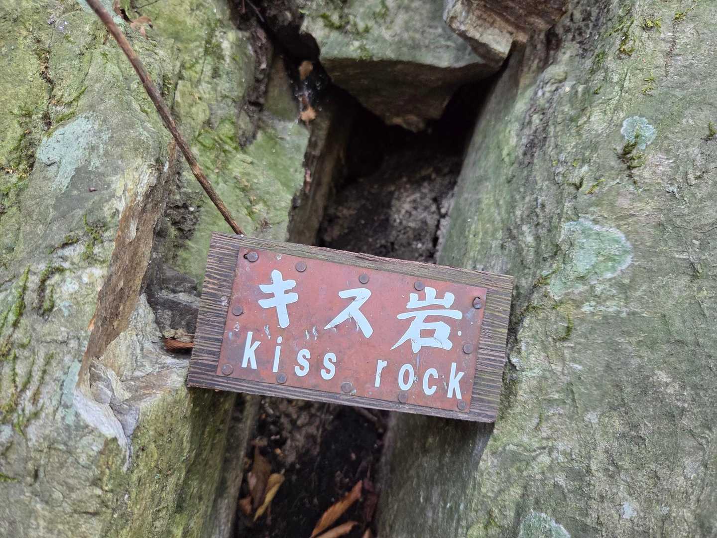 いつからある？