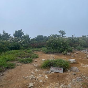 とりあえずこつぶり山