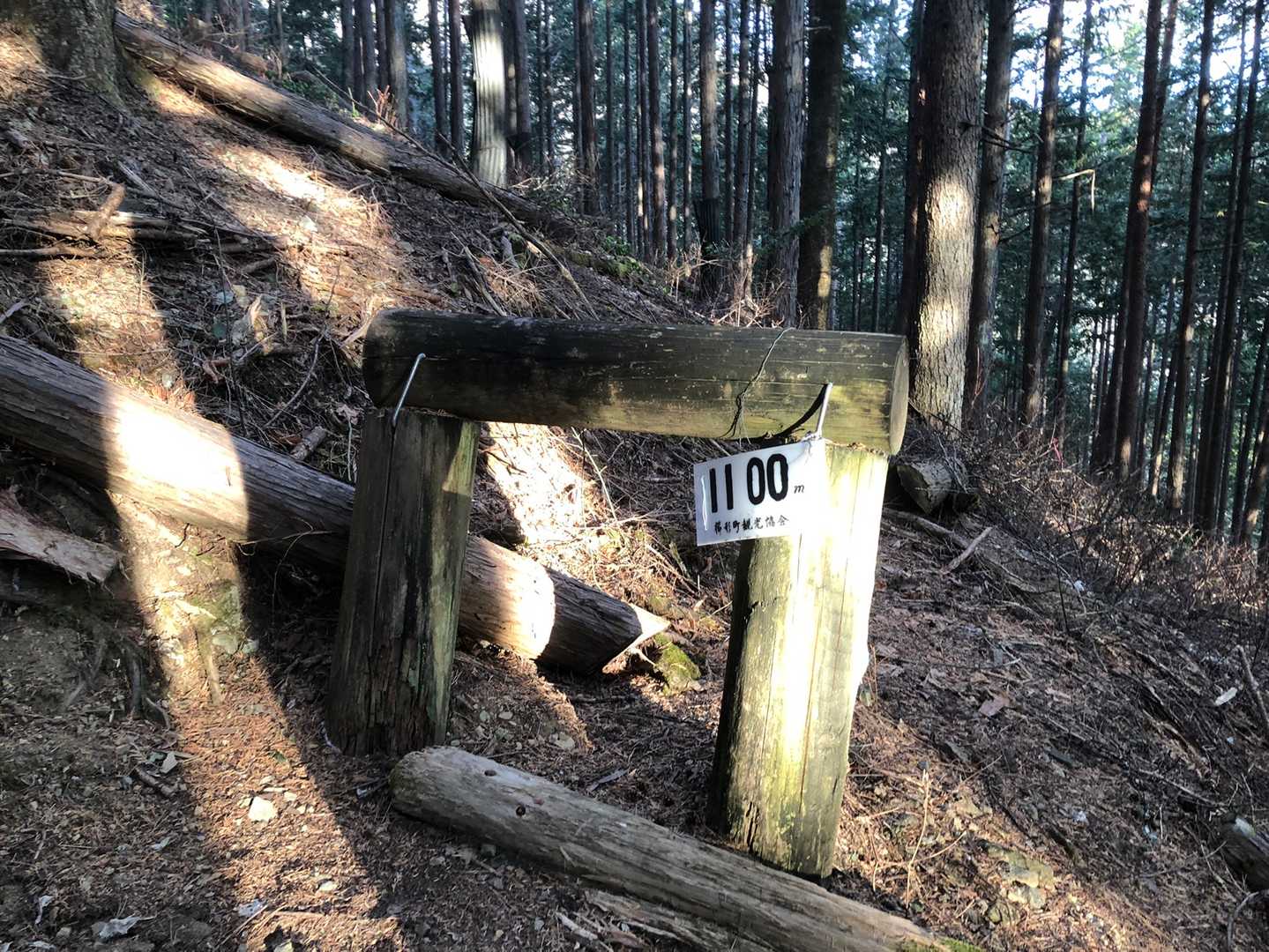 100mごとに標高を示す案内が。
山頂は2050mほどの山なのであと1000弱登ります。