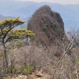 今度はとなりのアレに登頂だよ