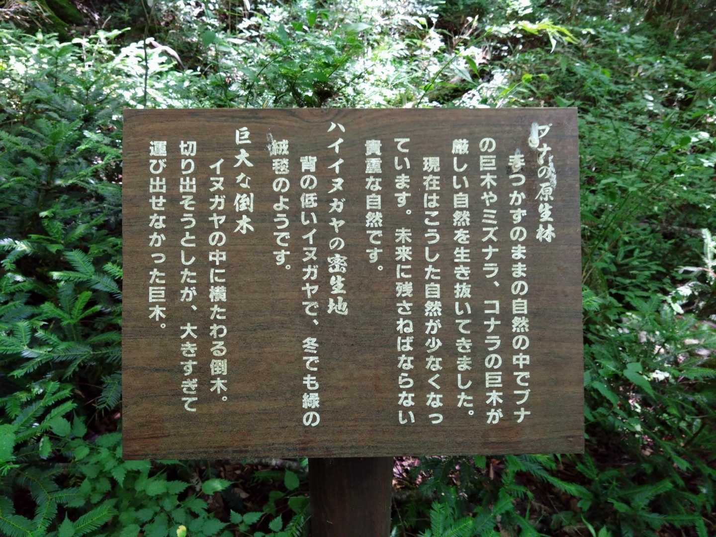 日山 周回コースの写真