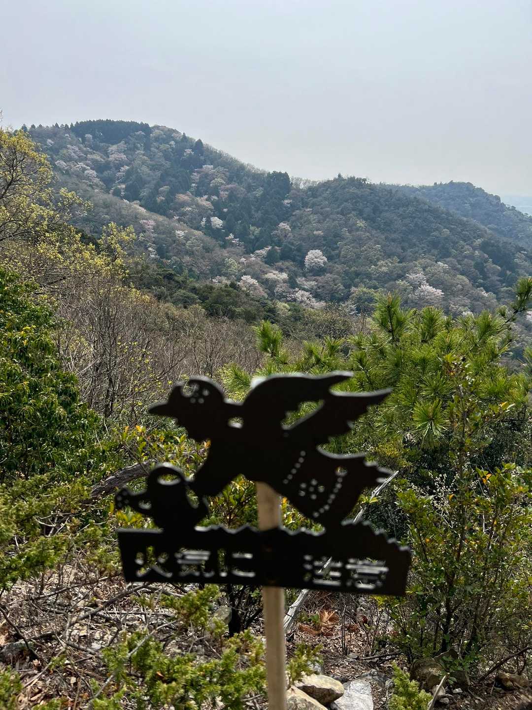 西茶臼山 周回コースの写真