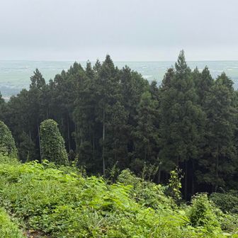 お花見している間に晴れて来たので…
もうひと山ピークハントします