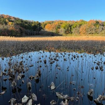 神田溜   蓮の名残がフラミンゴみたい🦩

トレランとしては、1日トータル25キロ6時間半くらいでした✨