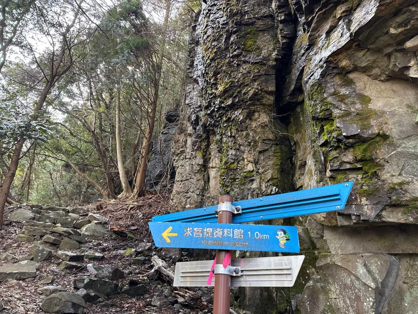 求菩提資料館前バス停-求菩提山 往復コースの写真
