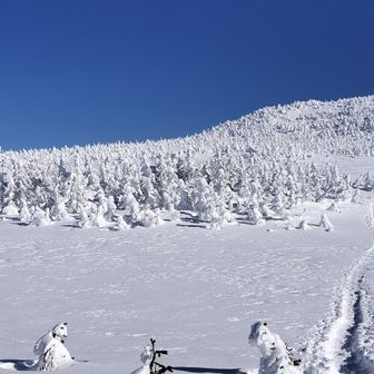 避難小屋には誰も立ち寄っていない模様