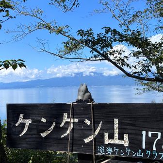 かわいい置物と看板