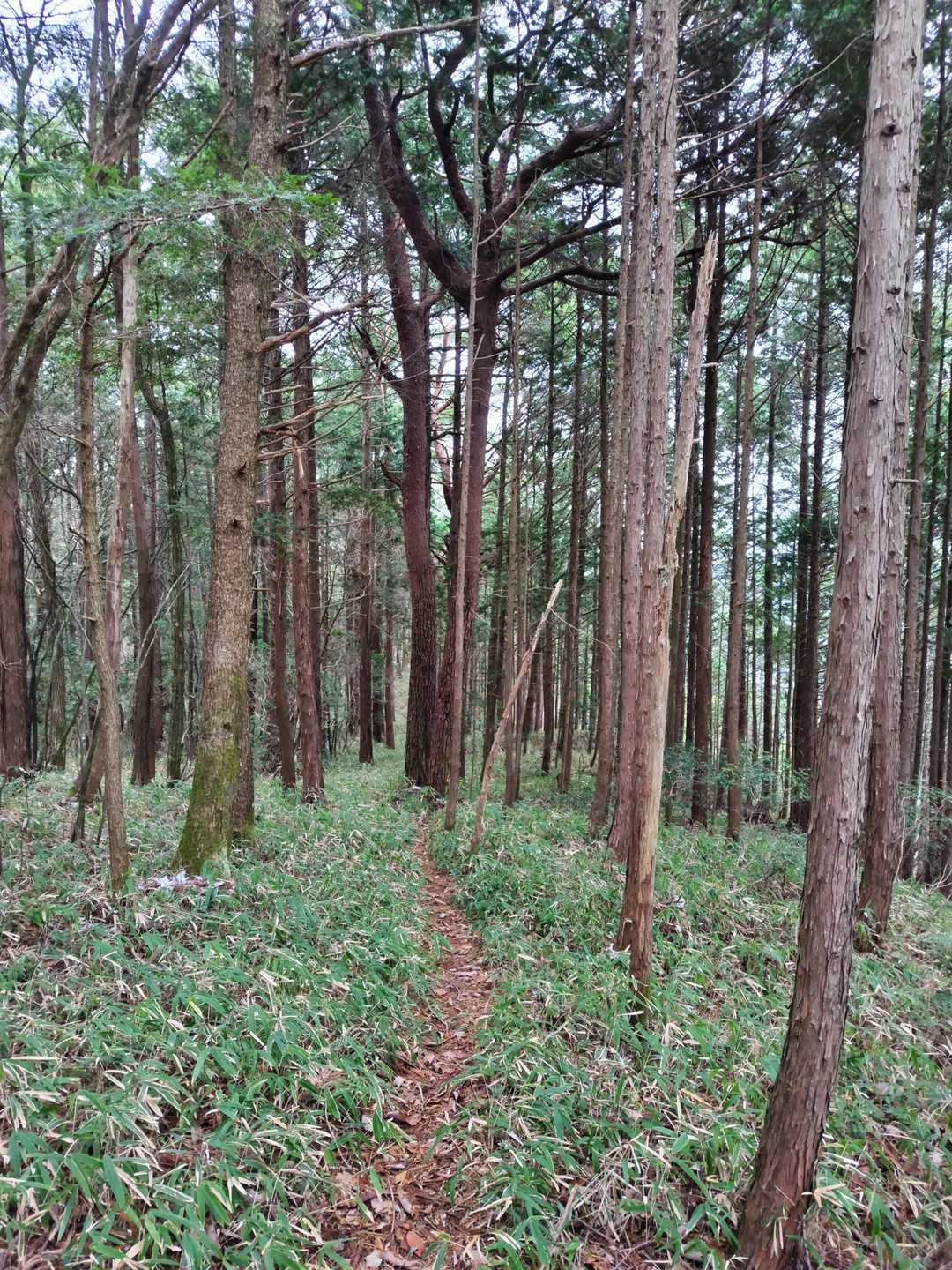 むしろ、下山だしダウン着たままでいいかって歩いてたら暑い～🥵
