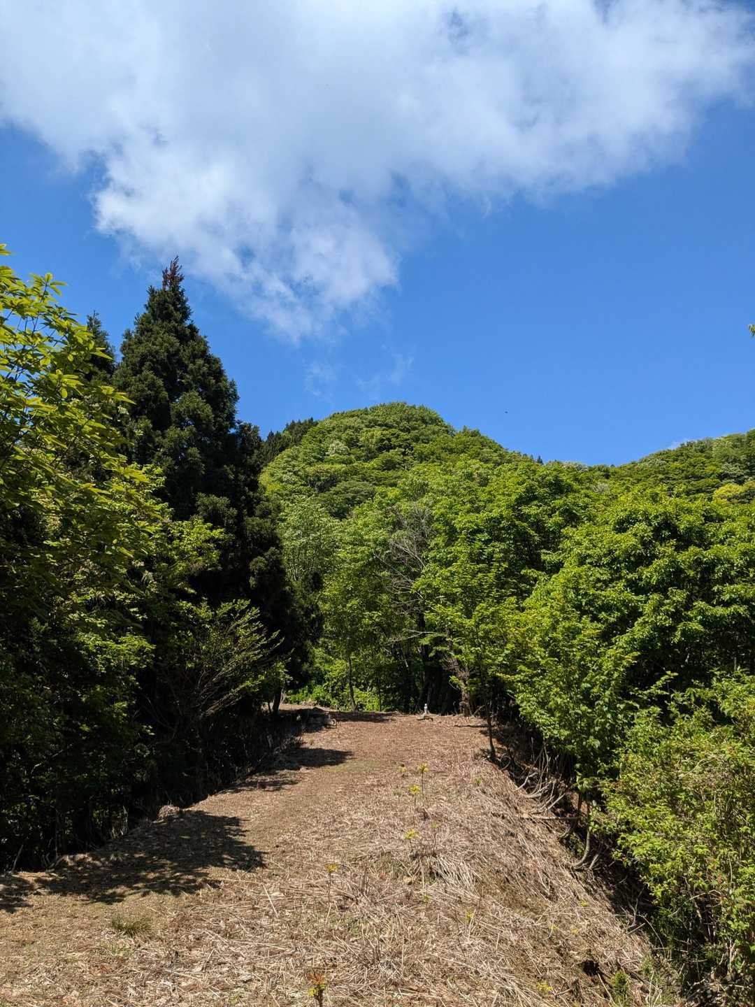 花立峠-雀ヶ峠-小六所山-六所山 往復コースの写真