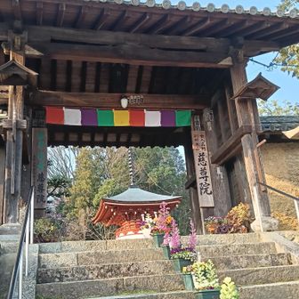 慈尊院につきました