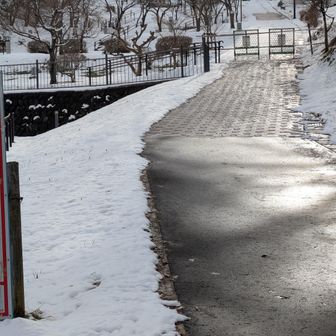 さすがに、もみじ園は閉鎖されてます