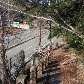 やっと国道262号線まで下山する事が出来ました。