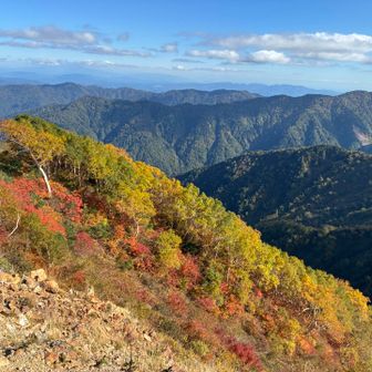 朝とは日の当たり方が違ってまた綺麗でした🍁😍