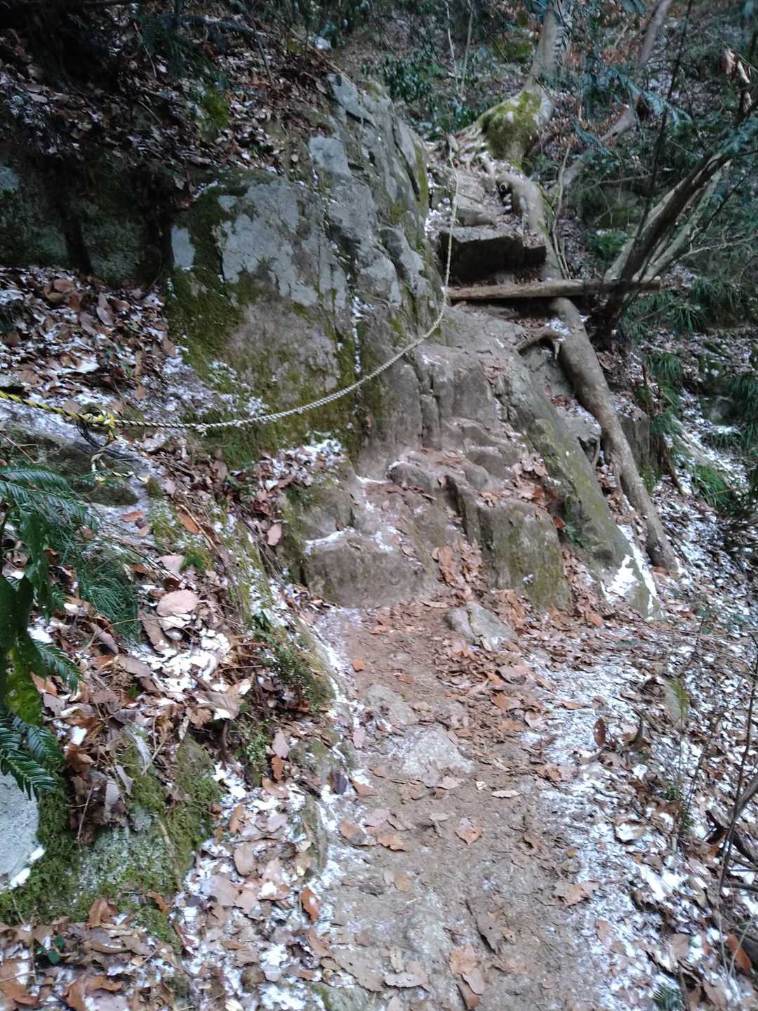最初から急登が始まります
