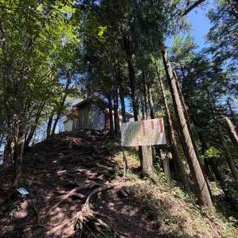 二本ボソ手前の関所
ここで入山料500円支払ます💰