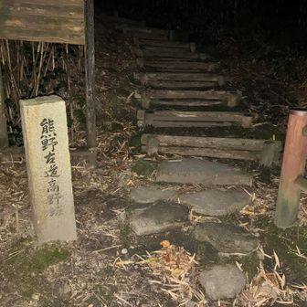 石畳があって趣きある道のようだが、ヘッデン山行で足場を見つけるのみ。