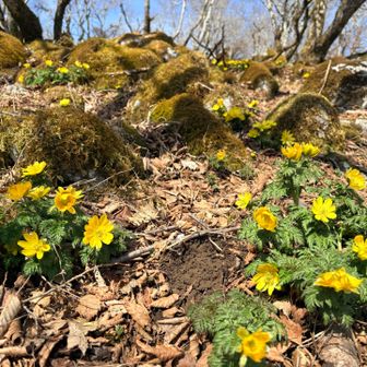 踏まないように気をつけてね