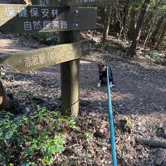 帰りたくないと動かない