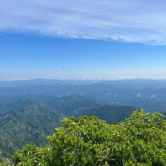 こんだけ見えれば今日は上出来です
景色も堪能したので下山します