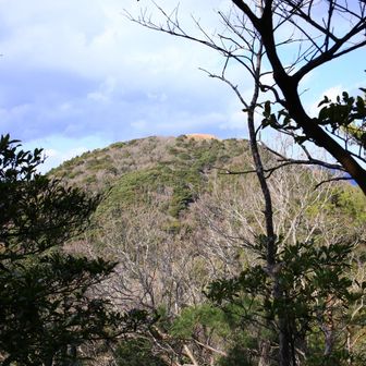 障子ヶ岳⛰️
ここに来てあれを登ると思うとゾッとするね｡｡｡