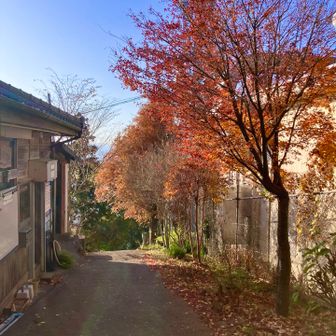 降りてゆこう🏃💦… 舗装道路を駆け降りてゆく🏃💦