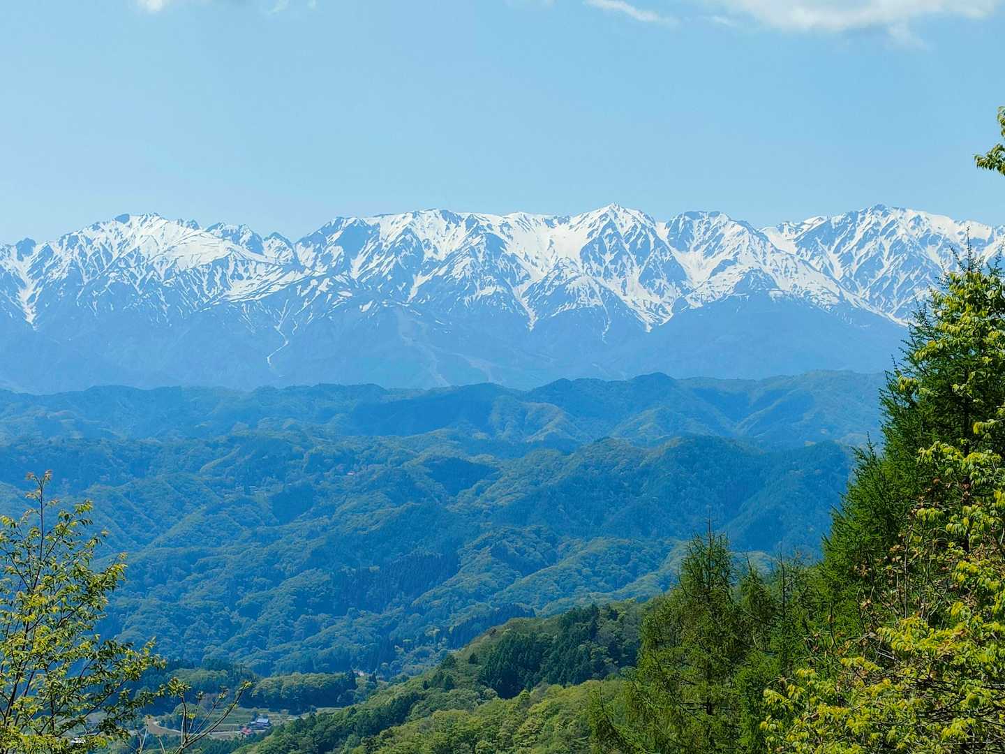 虫倉山 周回コースの写真