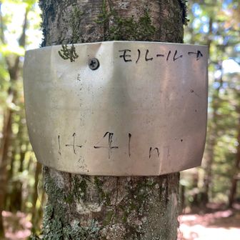 青薙、モノレールルートの分岐