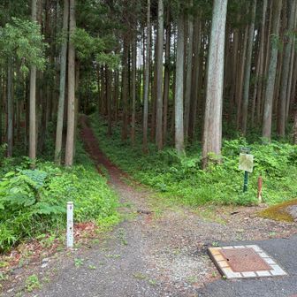 上野山方面に向かいます