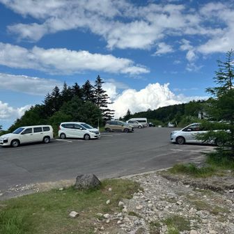 結局そのまま進んだ。