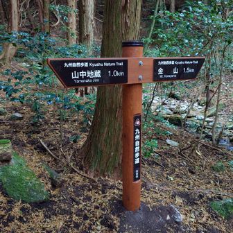 めちゃ新しいな😳