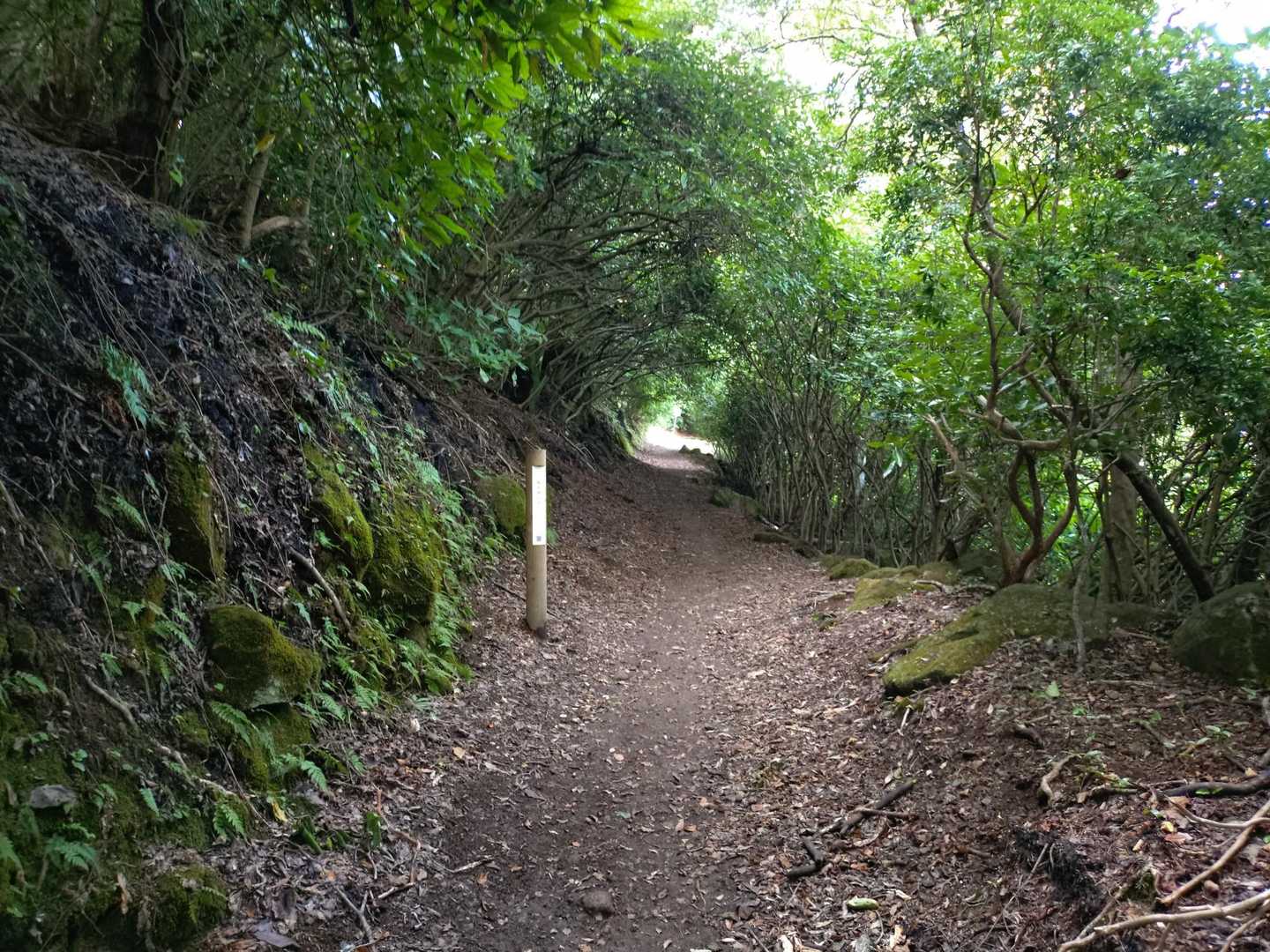 木陰なので暑いけど大丈夫