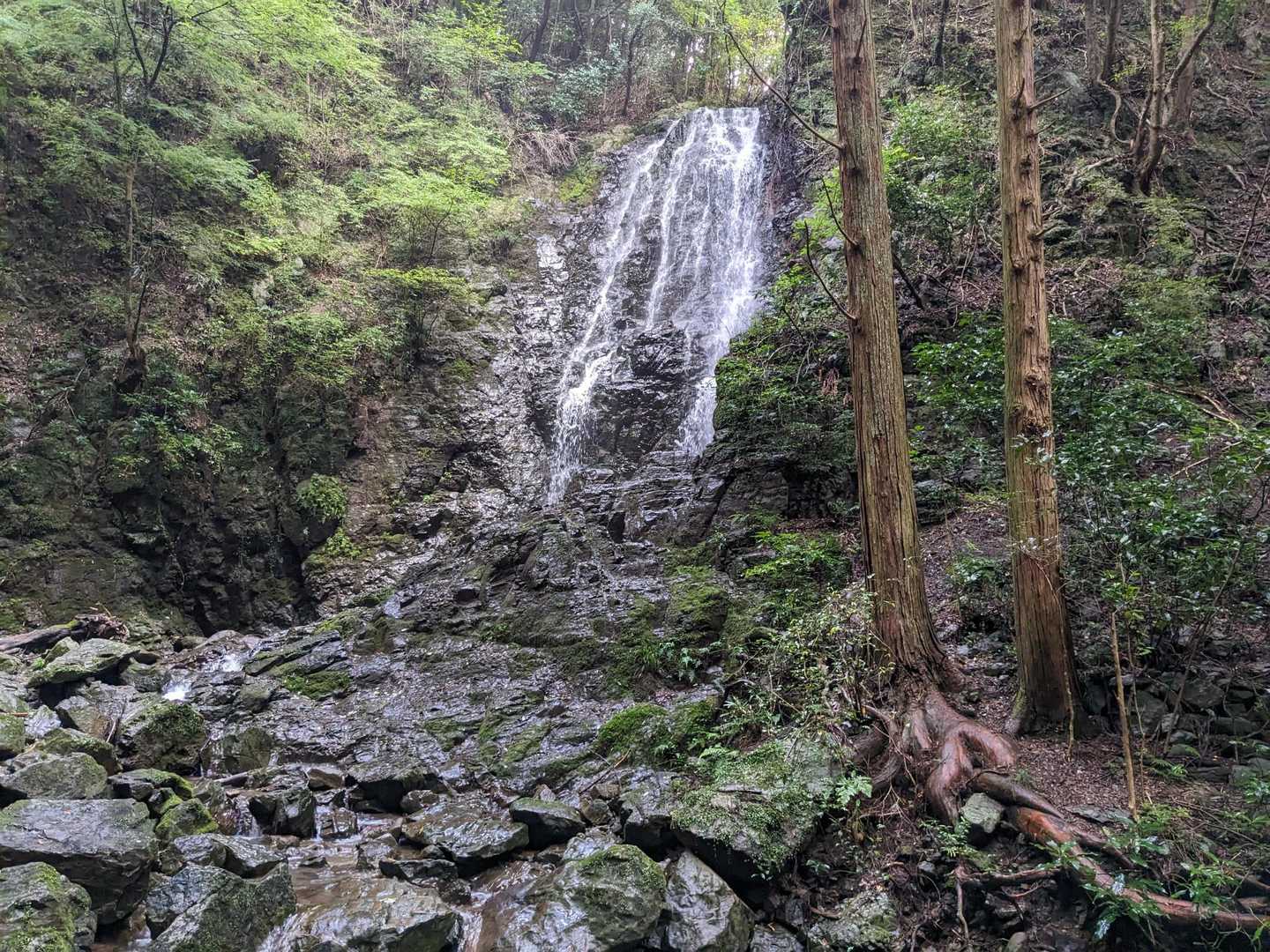 粟ヶ岳-高塚山-岳山 周回コースの写真