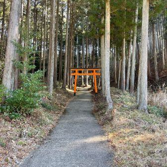 途中、氷室神社というスポットがあったので寄り道⛩️