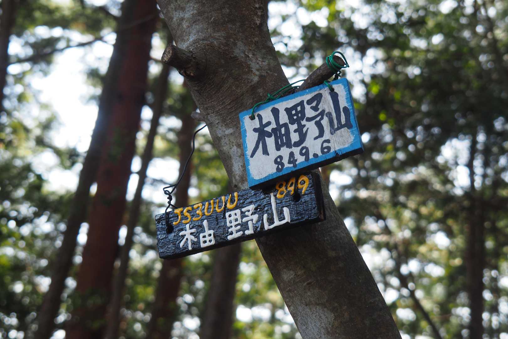 稱名寺-柚野山 周回コースの写真