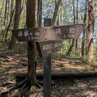 掃部ヶ岳？読めない山　教えられても明日には忘れてしまう山　文字感で判断してます…