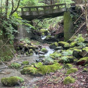 川まで降りてきた
川の水冷たい