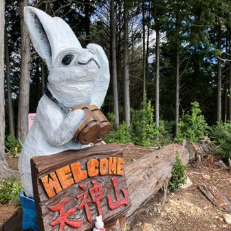 展望台のうさぎさん🐰