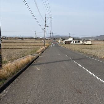 下山後は邑久駅まで約２kmの車道歩き🚶‍♀️
いろんなお花が見頃を迎えて楽しめます😊