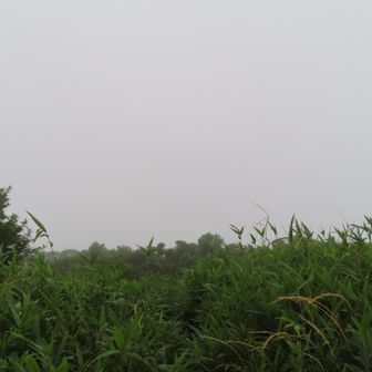 関門橋方向も
　　　360度雲の上