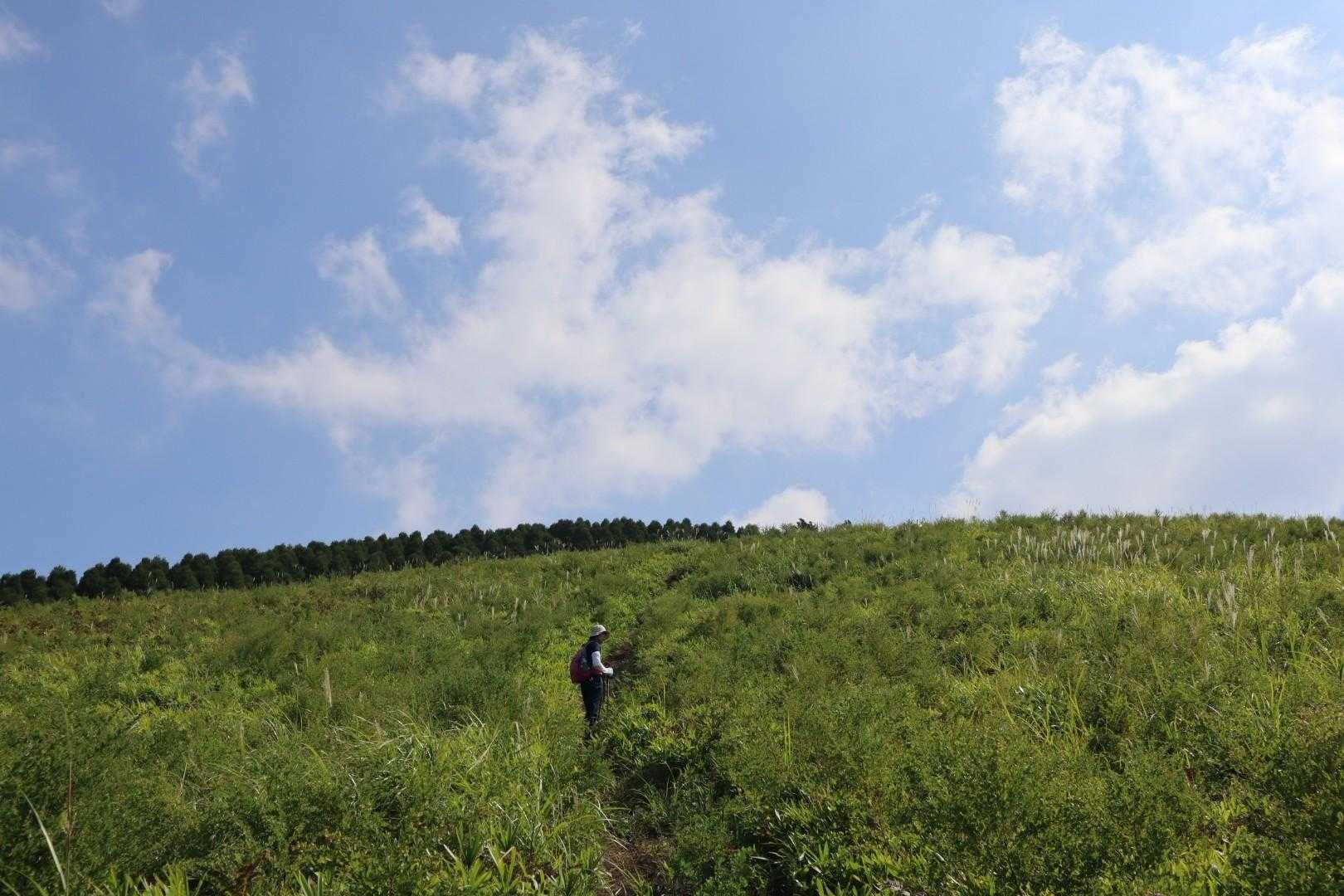 広い草原の中、急登がきつい！