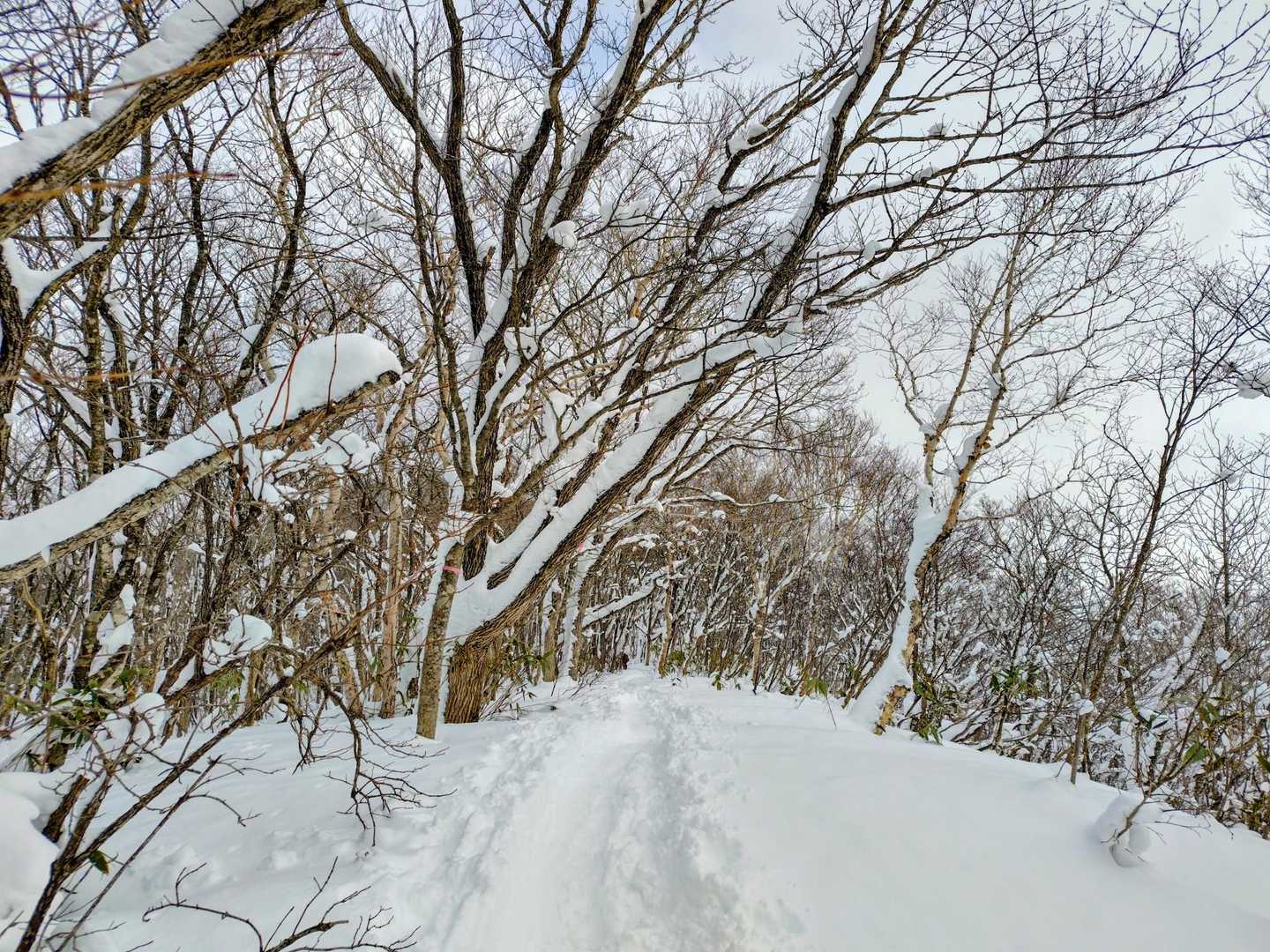 風が無いので歩きやすい😊