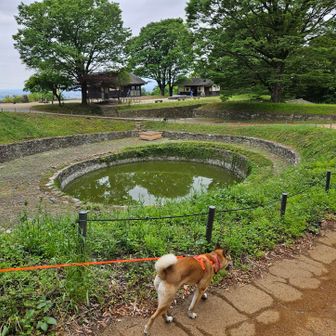 戦国時代に作られたという日ノ池の横を通り、来た道を降ります。
ワンコも満足でしょう