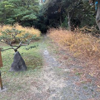 ハギの季節は綺麗でしょうね