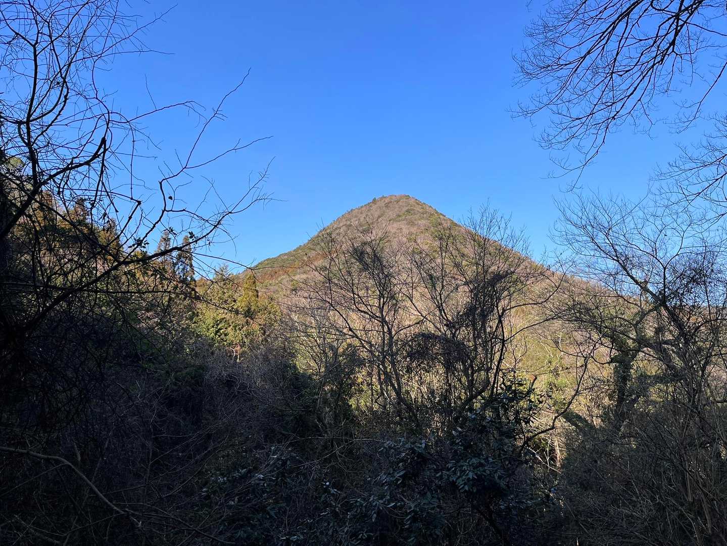林道からみえる。
こんな形の山ばかり。たぶんこれは谷山かな？。
