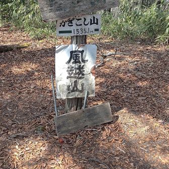 あっという間に登頂しました。
頂上は眺望無しです。