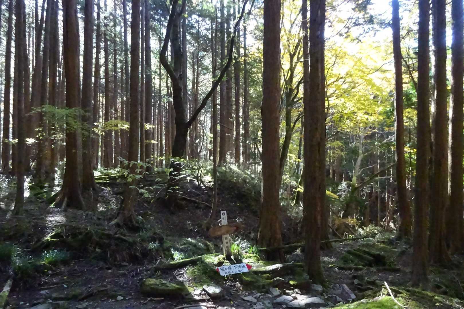 ここがみんなのレポにあった宿です😁休憩〜