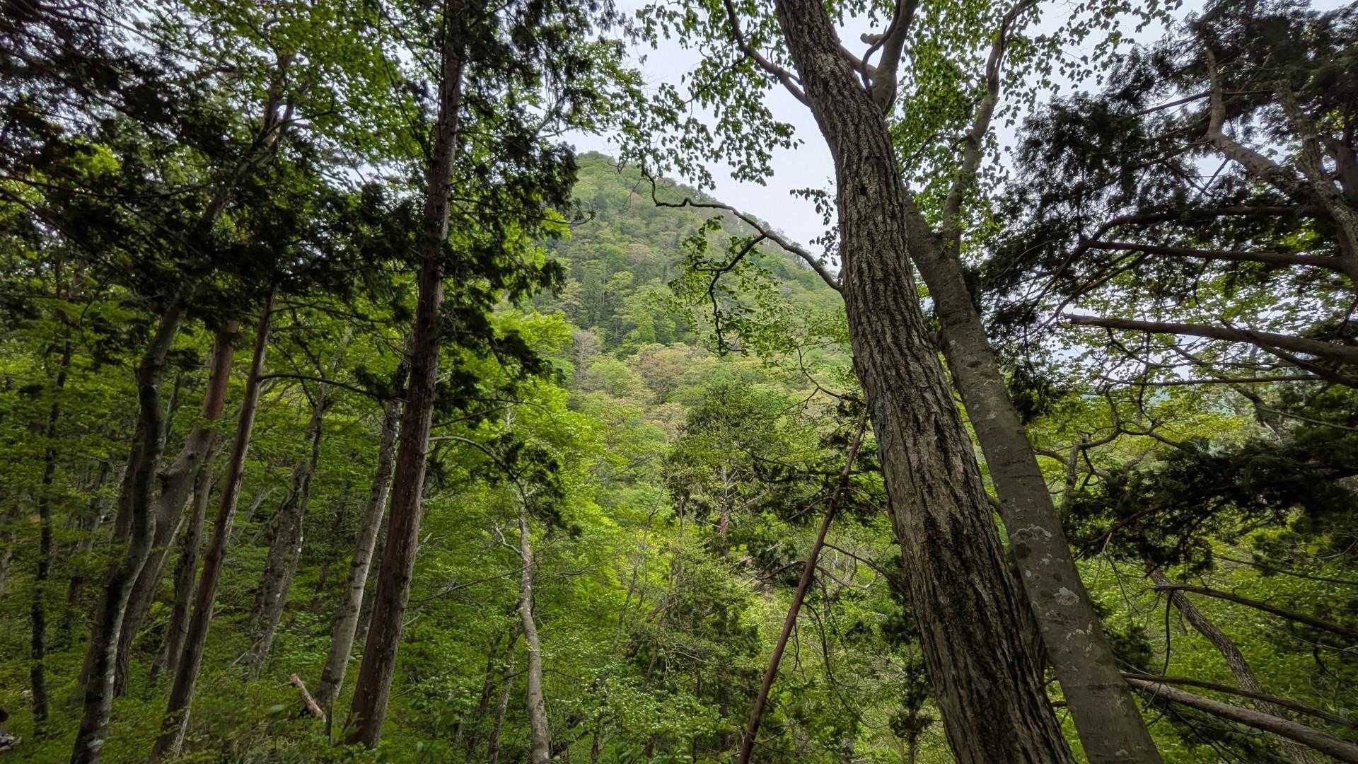 目の前が南昌山