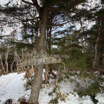 黒滝山山頂到着
ココで別の先行者に追いついた