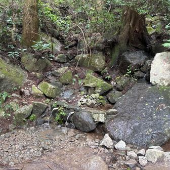 水場ホッとしますね