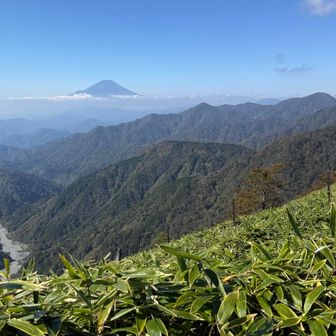 塔ノ岳〜丹沢山間の稜線からの富士山✨